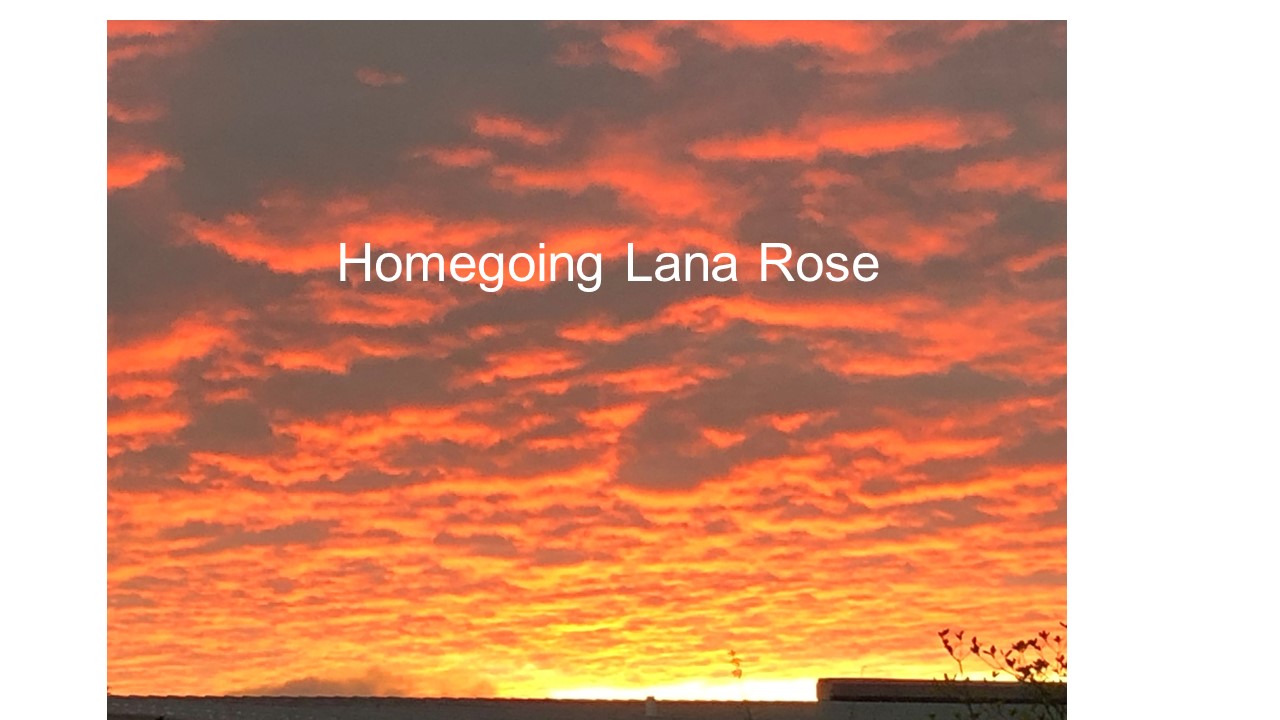 Homegoing Lana Rose | scbo.org